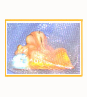 HANDICRAFT & GIFT ARTICLES